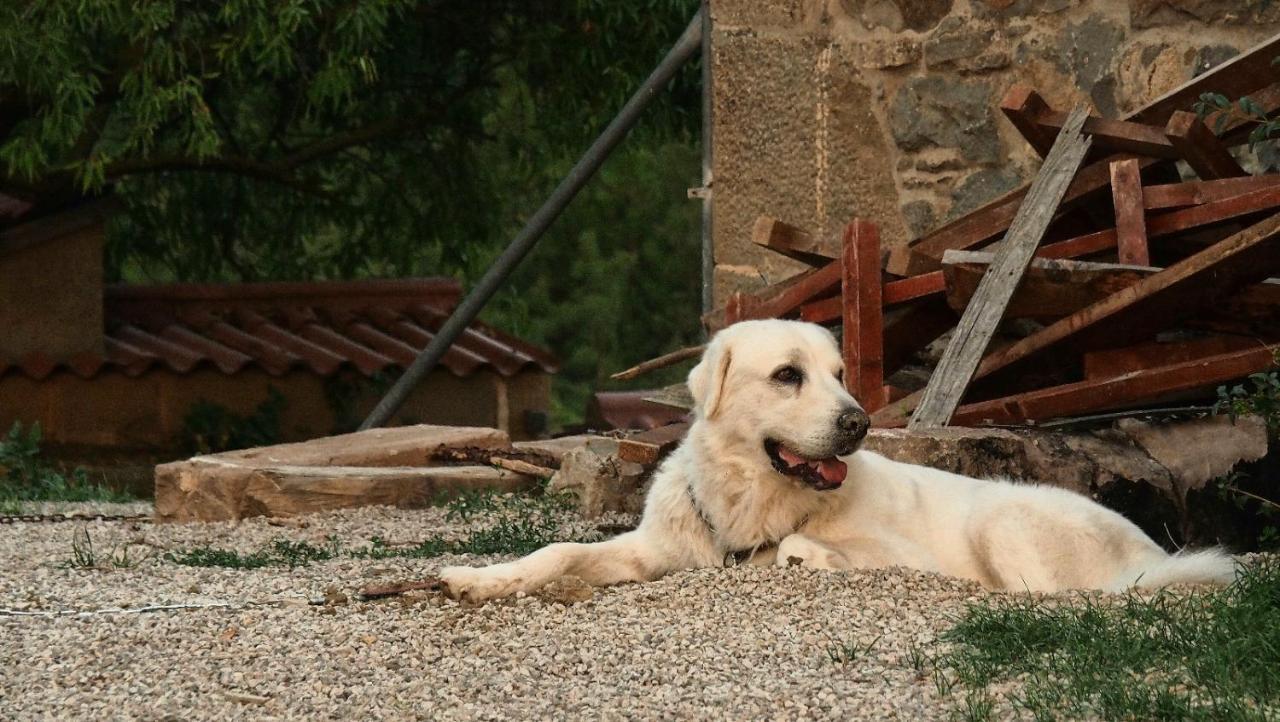 Chalet Masia La Clariana *